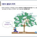 5S 환경