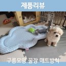 뮤티미