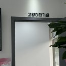 모던동물병원 | [계림동 동물병원] 친절한 원장님과 합리적인 진료금액 ‘모던 동물병원’(스케일링, 종괴제거 후기)