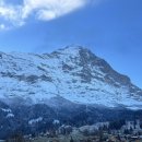 타이어마스타울산총판 | 역에서 융프라우 가는방법 ❘ 스위스 융프라우 성공 후기 ❘ 융프라우 VIP 패스 SKT 멤버십 무료커피쿠폰...