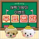 대실역남로4길 | 구미강아지분양 전문적 입양 후기