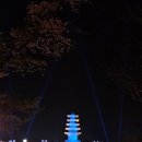 이리오솝 네이버블로그