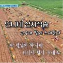 큰언니네돈가스
