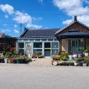 숲속힐링민박 이미지