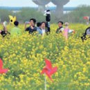 봄이 오는 길(시비 이미지