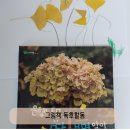 아람나무유치원 | 그림책 독후활동 유아 자연관찰 아람북스 우리 자연이랑 후기