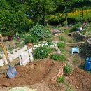 프렌치 라벤더 심기 이미지