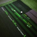 이글스크린골프존 이미지