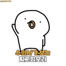 원천오리 이미지