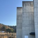 플로리스트(A) | W3. 대구컴플리트스튜디오 2호점 촬영후기(A+야외B) &amp; 웨촬 준비사항 .. 주절주절