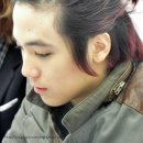 바비 펫 이미지