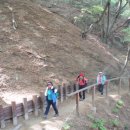 영숙태양광 이미지