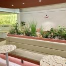 파라볼레카페 대구수성점 이미지