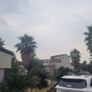 솜솜스테이 이미지