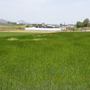 부동리마을회관 이미지