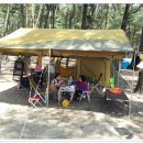 춘장대솔내음캠핑장 이미지