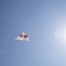 유성호텔 온천사우나 이미지