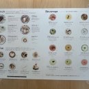 더샵온누리약국 | [경산] 브런치카페 추천 | 소소베이지 내돈내산 솔직후기