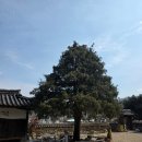 영인산자연휴양림 | [아산 영인산 자연휴양림 맛집] 영인산 100년 고택 '여민뜰'영월 곤드레 밥상 솔직후기