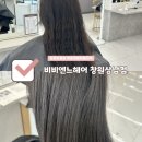 가본헤어샵 | 창원 미용실 헤어샵 상남동 헤어클리닉 추천, 비비엔느헤어