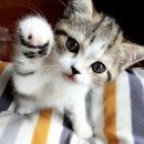 메리 동물병원 이미지