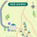 대관령자연휴양림 티스토리