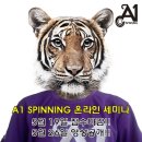 [A1 SPINNING]스피닝 이미지