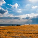 성산한우목장 이미지