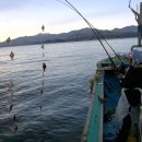 현대낚시 이미지