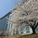 서울예술치유허브 | 후기] 국회 정책토론회: K-컬처 예술의 치유적 역할을 만나다