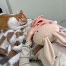 수유뽑기샵 | [쌍문 속눈썹펌] 니어뷰티 | 여러 미용시술을 겸비한 토탈 뷰티샵