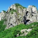 가지산 - 중구 | 가지산