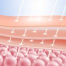 건강한세상의료소비자생활협동조합고운의원 이미지