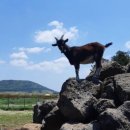 시즌글라스 이미지