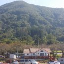 구례중앙초등학교 이미지