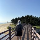 네모하우스 이미지