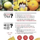 배감 이미지