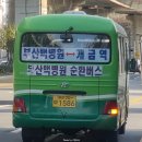 대명교통(마을버스) 이미지