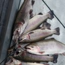 호저낚시터 이미지