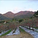 은티농장 이미지