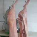서해마트정육점