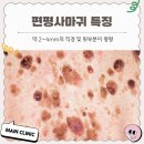 메인의원 이미지