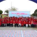 섬 맨드라미 축제 이미지