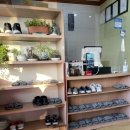 장춘복어 이미지