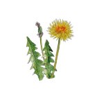 대정요양병원 이미지