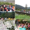 율산농장 | 세종시 다양한 체험학습이 가득한곳! 목인동,금사요,율산농원
