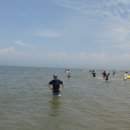 파도소리 이미지