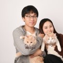빵실스튜디오 네이버블로그