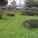 고마2경로당 이미지