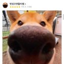 용문객잔 이미지